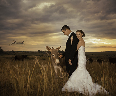 bride and groom in field with donkey
